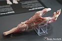 VBS_3110 - Articolazioni della mano - Mostra Body Worlds